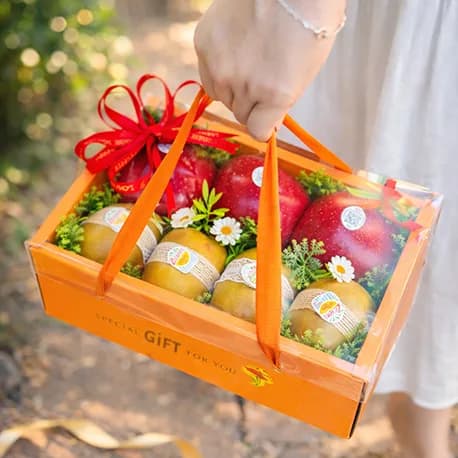 Hộp Quà Trái Cây TK221 - ảnh 1